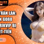 tin don tran lan